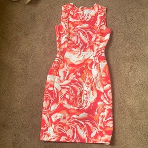Calvin Klein Dress